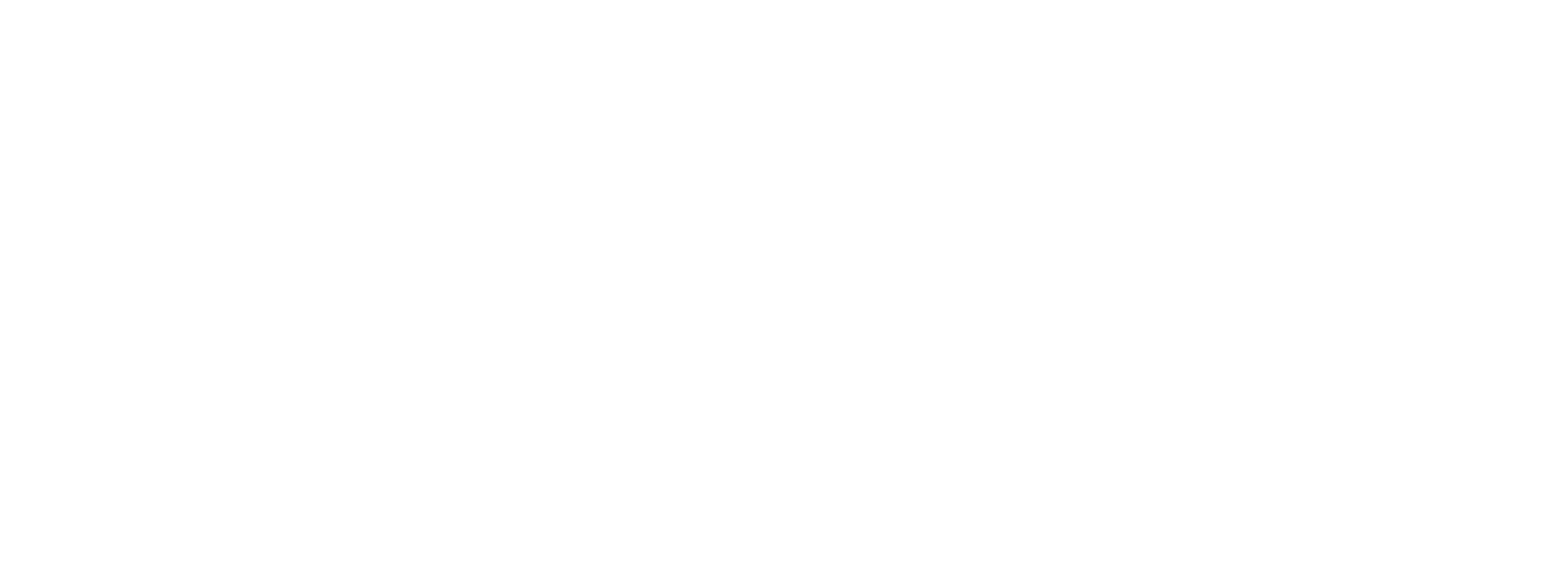 Xanite Logo